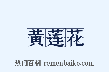 黄莲花是什么意思的图片